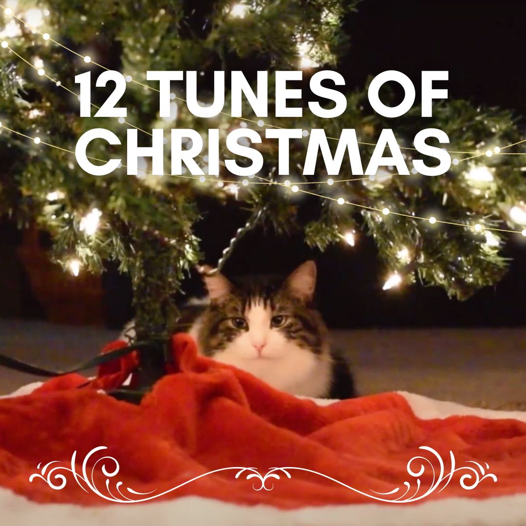 12 Tunes of Christmas